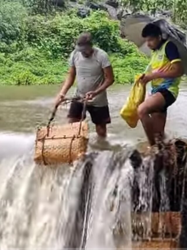 कोकणाती चढणीचे मासे
