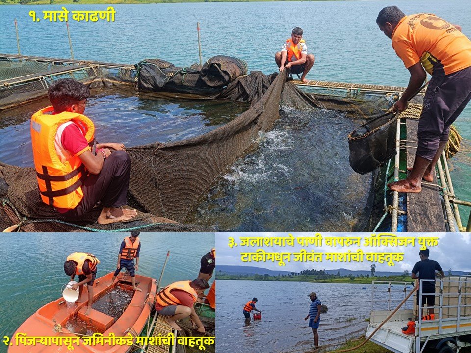 Work Experience Training of Tilapia Cage Culture for Fishery Engineering Students at Kolhapur