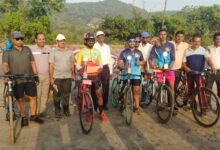 बैलगाडी शर्यत